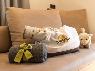 Holiday apartment Apartment Sonnenalm - Features photo 26