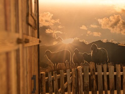 Holiday apartment Apartment Sonnenalm - Features photo 29