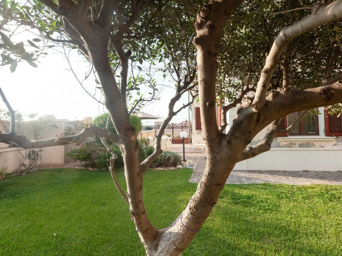 Holiday apartment Villa Silvia - Outdoor photo 5