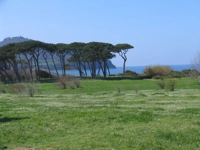 Holiday apartment Villa Silvia - Environment photo 33