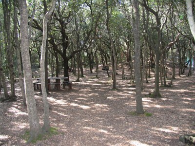 Holiday apartment Villa Silvia - Environment photo 38