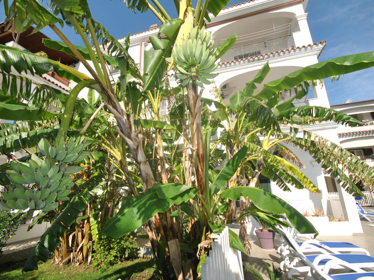 Holiday apartment Rifugio - Outdoor photo 3