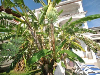 Holiday apartment Rifugio - Outdoor photo 3