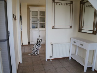 Holiday house Villa "De Banjaard Zeeland" - Features photo 12