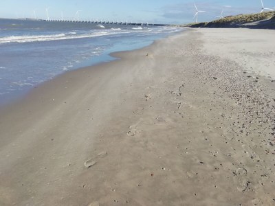 Holiday house Villa "De Banjaard Zeeland" - Environment photo 21