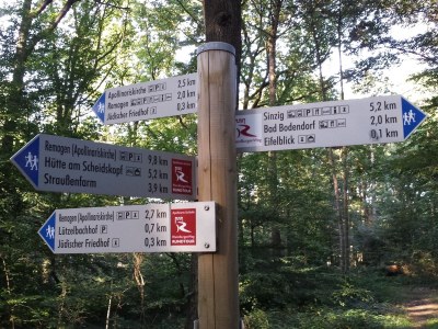 Holiday house Abelle - Environment photo 16