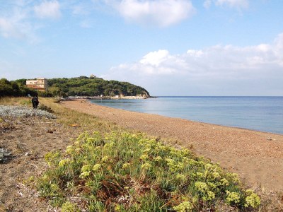 Holiday apartment CasaMarina - Environment photo 19