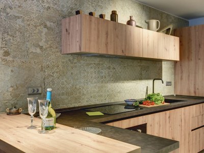 Villa Balizerka - Features photo 24