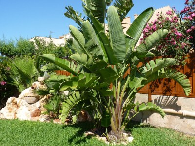 Holiday house Casa Ben - Outdoor photo 6