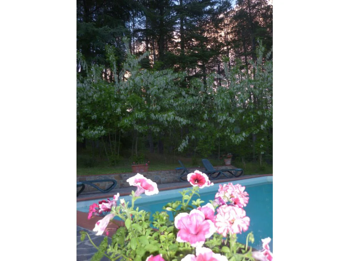 Holiday apartment Stalla - Outdoor photo 5