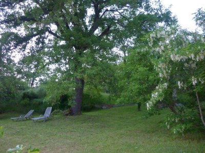 Holiday apartment Stalla - Outdoor photo 8