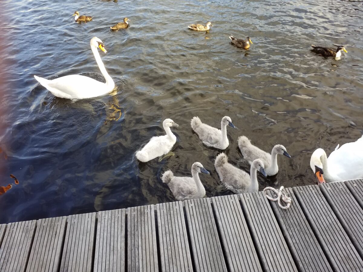 Holiday house Aquaronde 74 La Belle - Outdoor photo 5