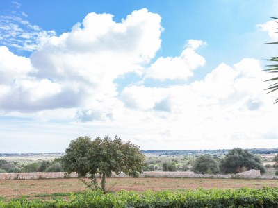 Villa Es Turo - Environment photo 36