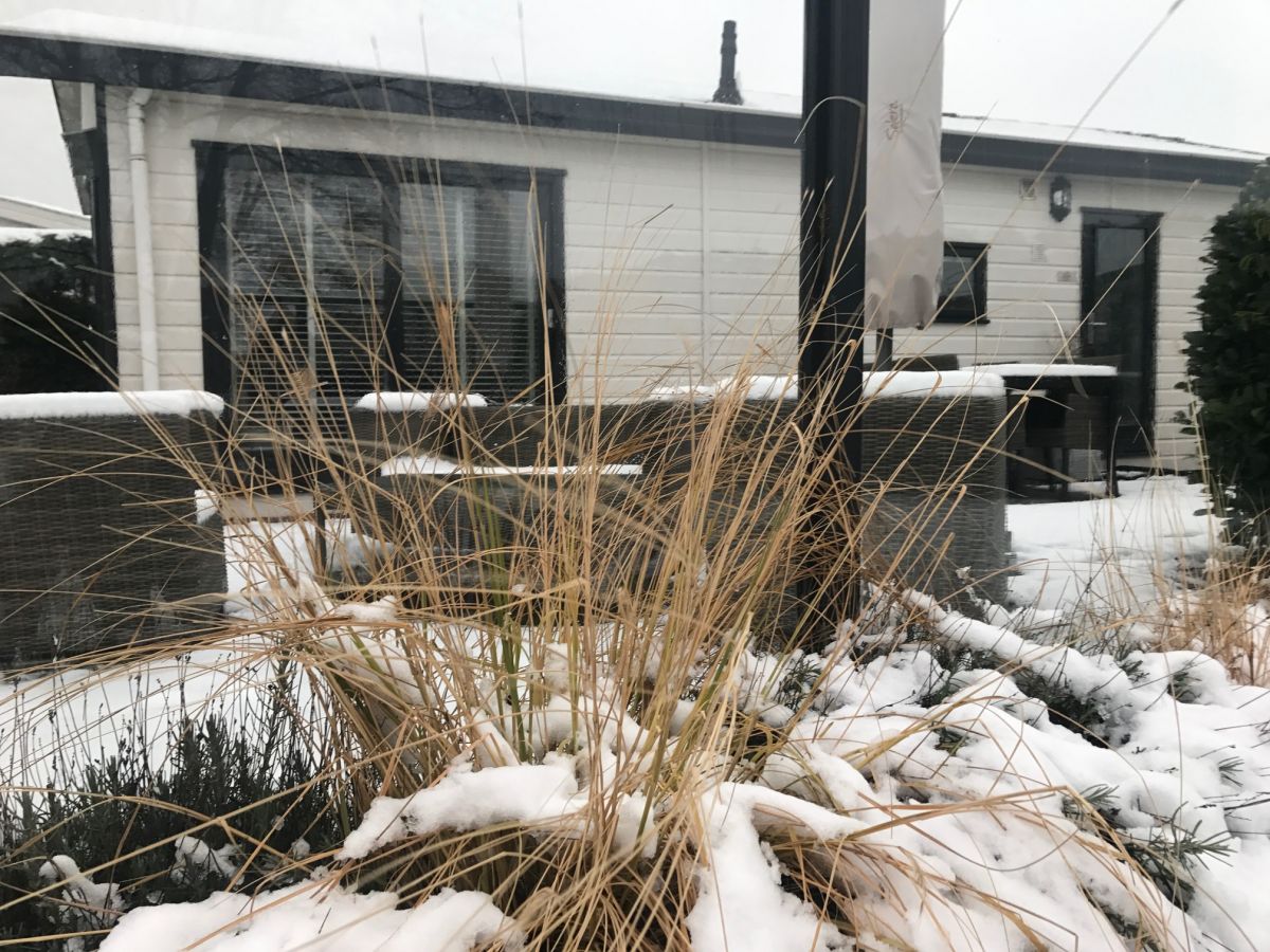 Chalet Duinpan am Wasser - Outdoor photo 5