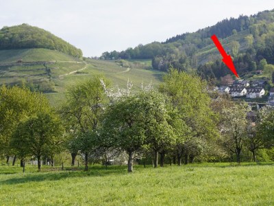 Holiday apartment House Neuberg - Outdoor photo 3