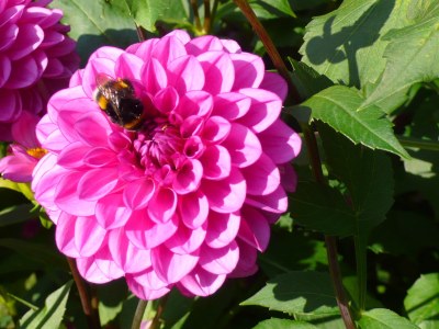 Holiday apartment House Neuberg - Outdoor photo 6