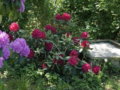 Holiday apartment House Neuberg - Outdoor photo 8