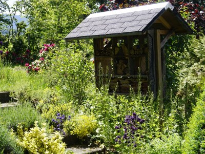 Holiday apartment House Neuberg - Outdoor photo 9