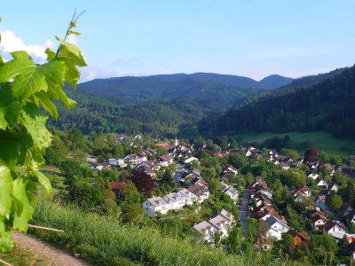 Holiday apartment House Neuberg - Environment photo 18