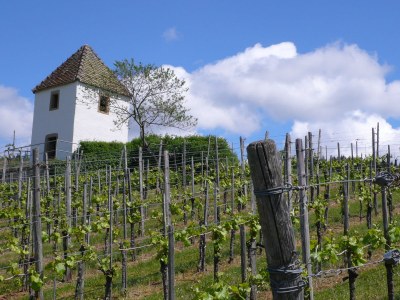 Holiday apartment House Neuberg - Environment photo 22