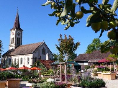 Holiday apartment House Neuberg - Environment photo 23