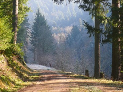 Holiday apartment House Neuberg - Environment photo 26
