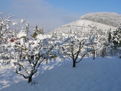 Holiday apartment House Neuberg - Environment photo 27