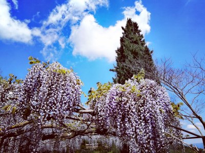 Holiday apartment Ripa d'Elce - Outdoor photo 11