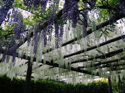 Holiday apartment Ripa d'Elce - Outdoor photo 12