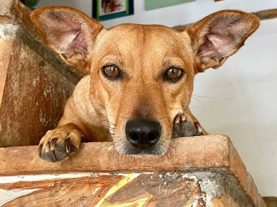 Holiday apartment Ripa d'Elce - Outdoor photo 18