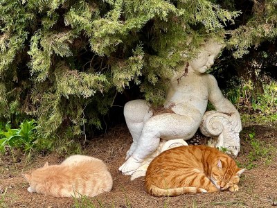 Holiday apartment Ripa d'Elce - Outdoor photo 19