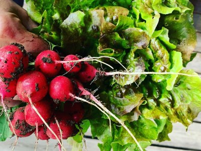 Holiday apartment Ripa d'Elce - Features photo 25