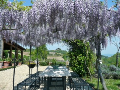 Holiday apartment Ripa d'Elce - Environment photo 28