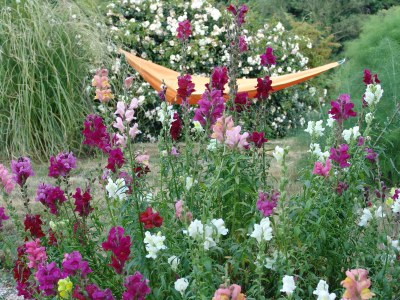 Holiday apartment Ripa d'Elce - Environment photo 30