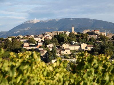 Holiday house Balcon du Ventoux - Environment photo 14