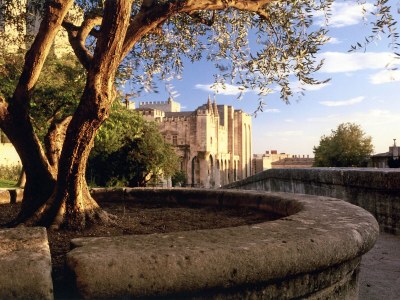 Holiday house Balcon du Ventoux - Environment photo 16