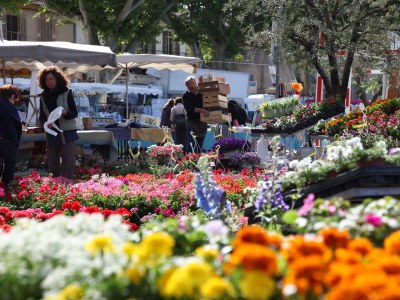 Holiday house Balcon du Ventoux - Environment photo 19