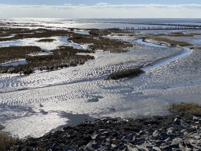 Holiday house Nordseejuwel Beach House - Environment photo 24