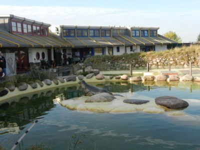 Holiday house Nordseejuwel Beach House - Environment photo 35