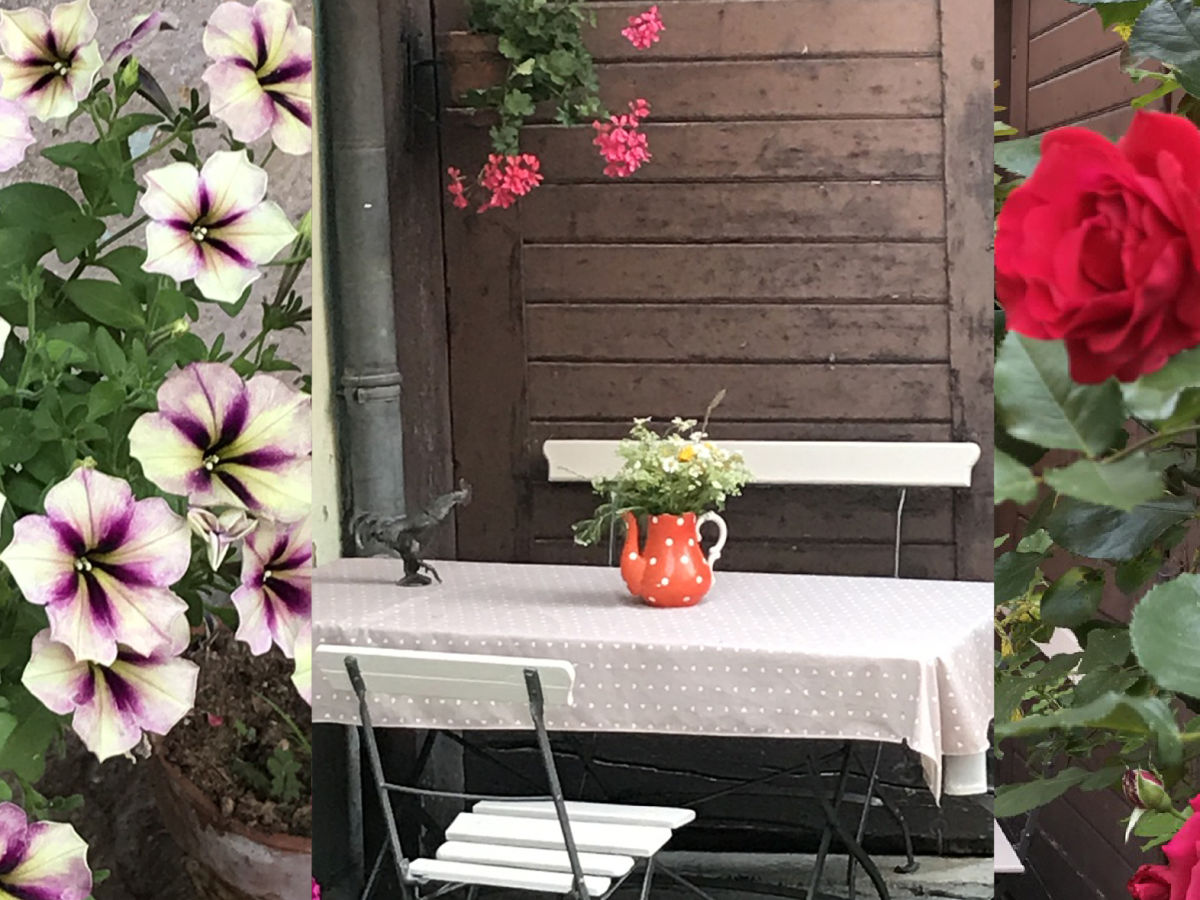 Holiday apartment Fuchs 2 - Outdoor photo 4