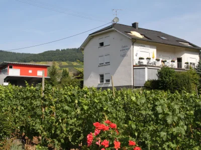 Holiday apartment Weingut Hermes - Outdoor photo 3