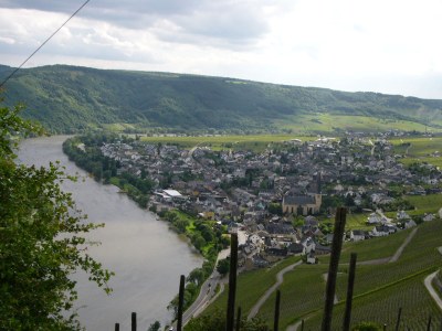 Holiday apartment Weingut Hermes - Environment photo 12