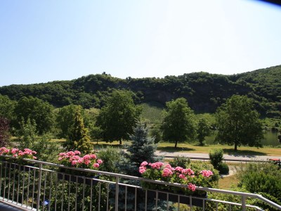 Holiday apartment Weingut Hermes - Environment photo 14