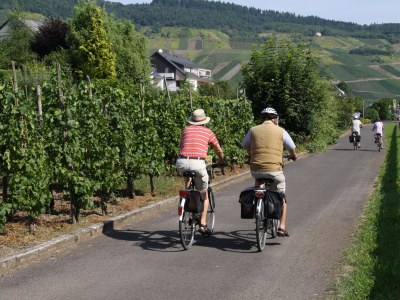 Holiday apartment Weingut Hermes - Environment photo 15