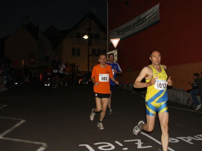 Holiday apartment Weingut Hermes - Environment photo 16