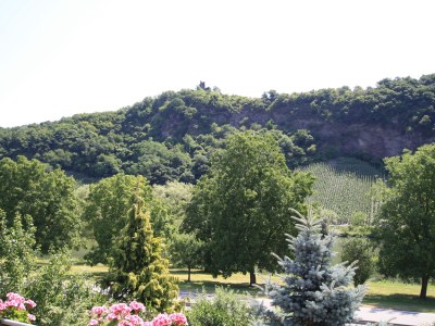 Holiday apartment Weingut Hermes - Environment photo 17