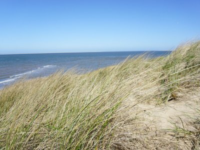 Holiday house Strandslag 140 - Environment photo 17