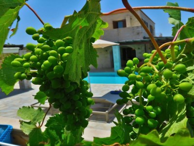 Holiday house Villa Lofos - Outdoor photo 18