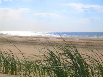 Holiday house Type Cypres XL - Environment photo 14