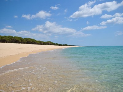 Holiday apartment Panorama - Environment photo 28